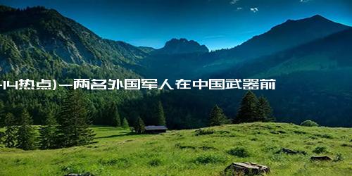 (11-14热点)-两名外国军人在中国武器前挪不动步 目击者：绕了三圈回来看到还在！